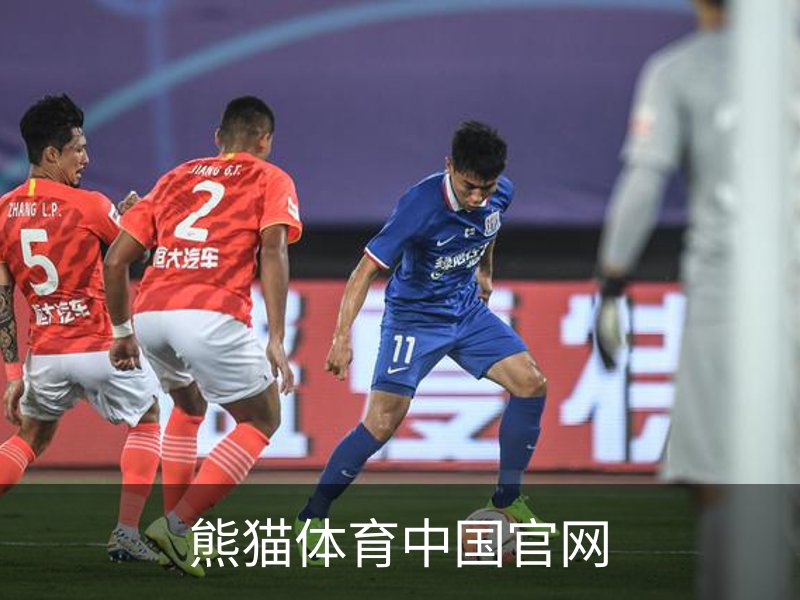 熊猫体育中国官网概况